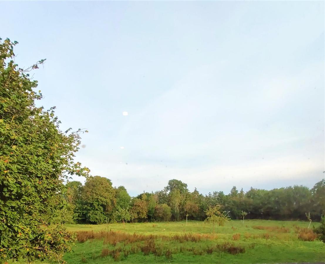 Gite Les Hirondelles - Bord De Mer Et Campagne Tracy-sur-Mer ภายนอก รูปภาพ
